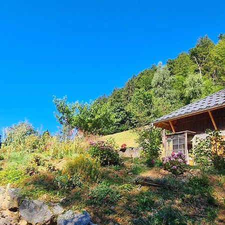 Chambre D'Hotes L'Aire Du Temps Savoyard Ugine Esterno foto